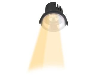 Radiancecraft Collection Spot COB Fix Down Light 12W Black Body Gold Reflector